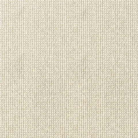 Oatmeal carpet swatch
